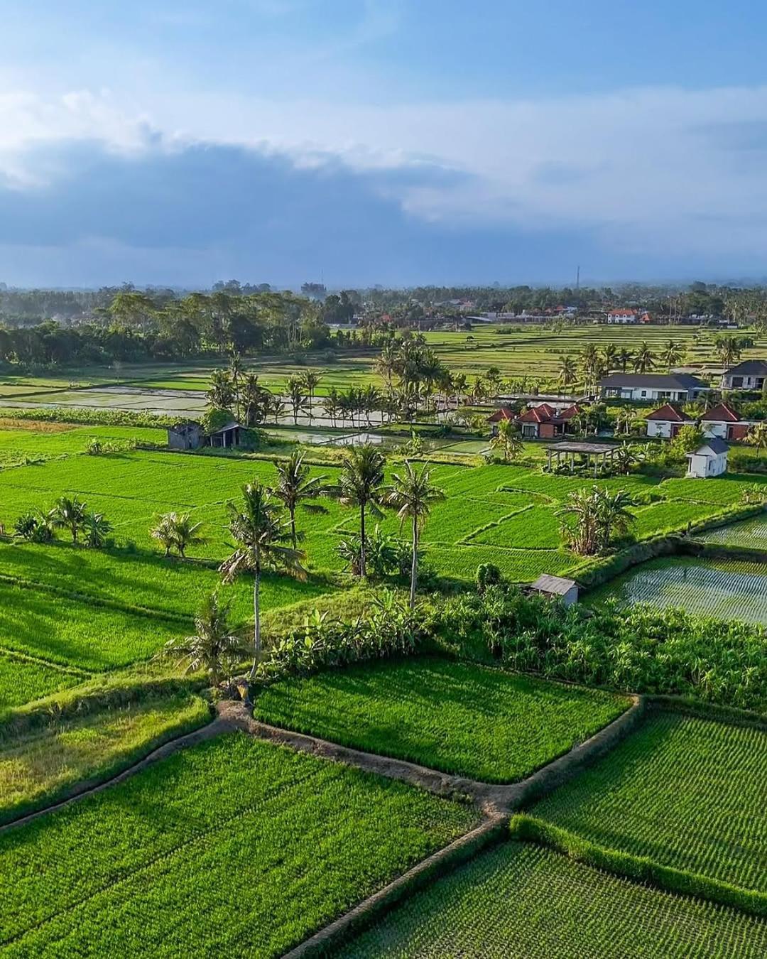 Ikada Villa By Pramana Villas Ubud  Luaran gambar
